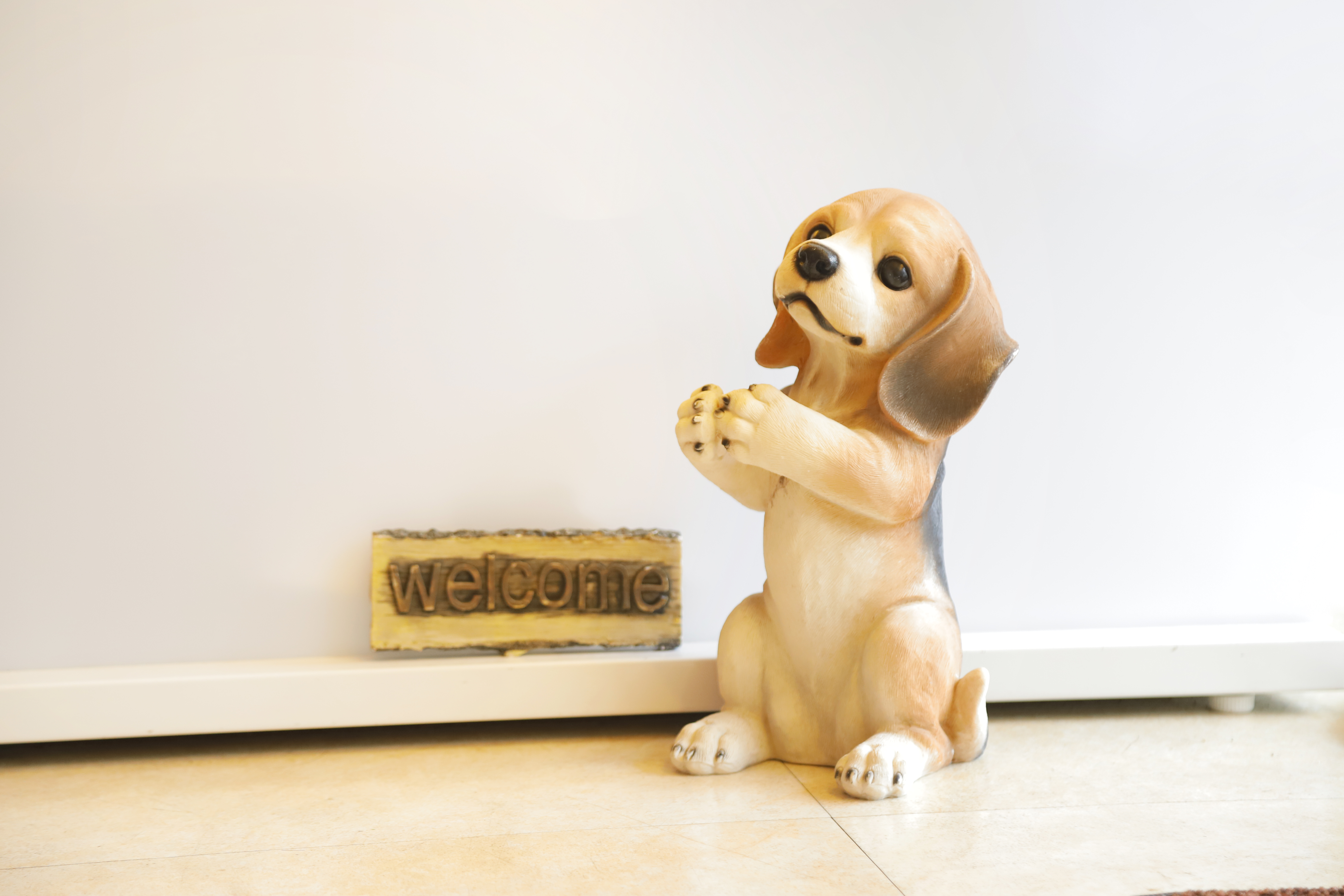 Welcome